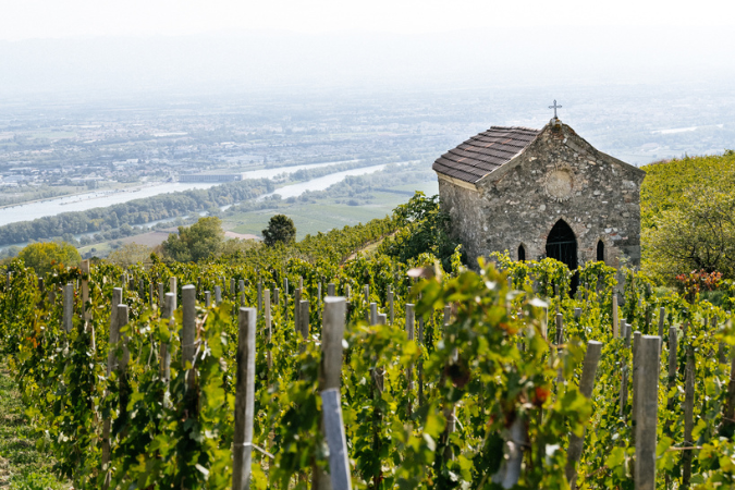 The stunning landscape that can be seen from Rhone winery Alain Voge