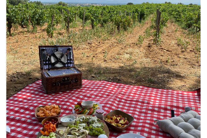 A picnic by the vines of Domaine de Cristia
