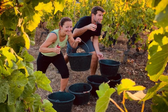 Two people stand in between the vines helping with the harvest at Domaine Melody