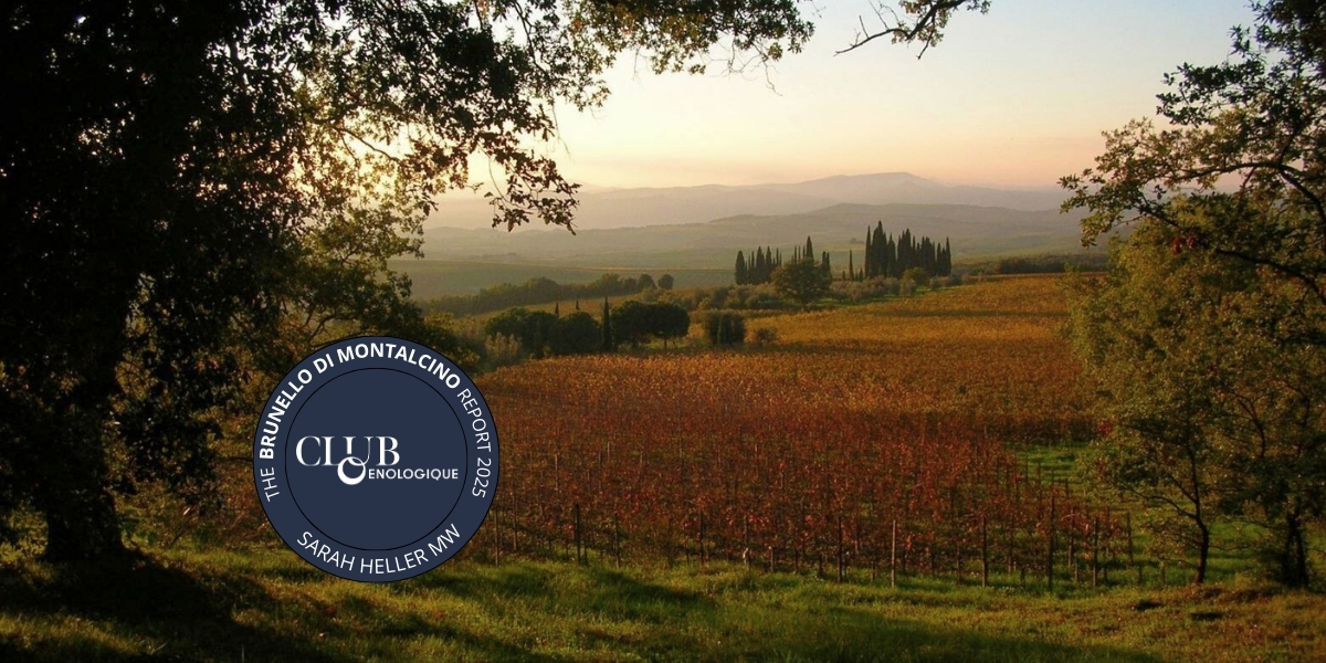The Brunello di Montalcino Report 2025 cover image