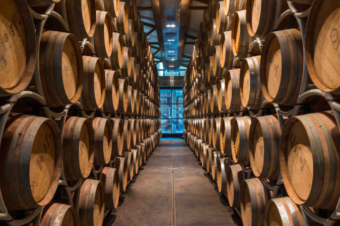 Sassicaia cellar