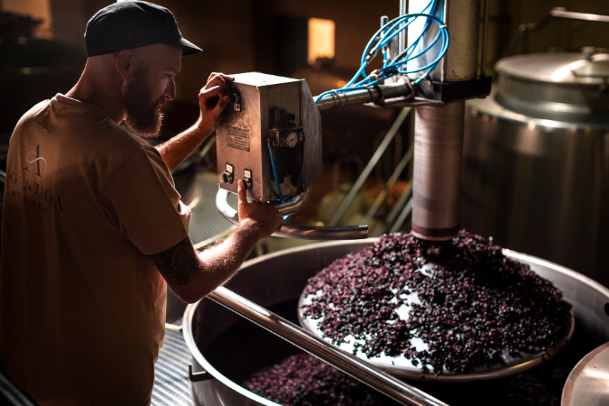 Winemaking at Argentiera