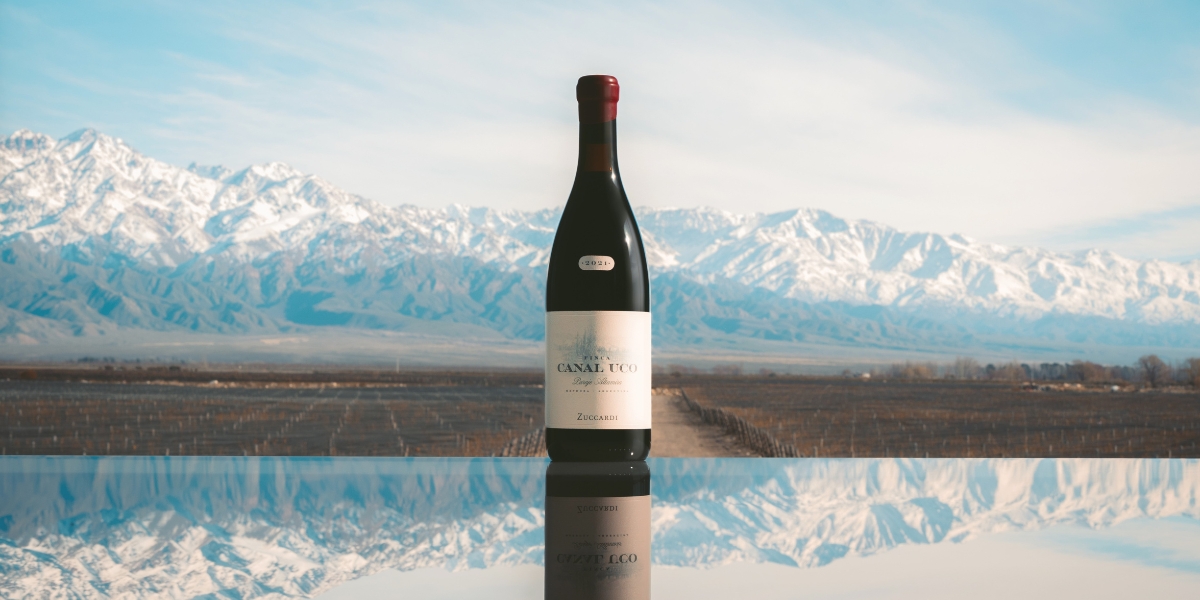 Zuccardi Finca Canal Uco cover image