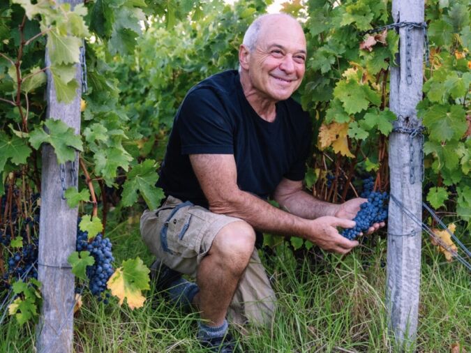 Will Berliner crouching between vines at a Cloudburst vineyard