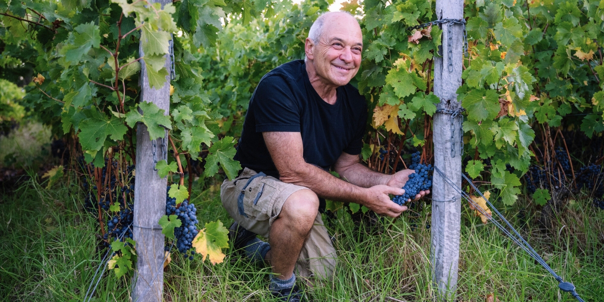 Will Berliner crouching between vines at a Cloudburst vineyard