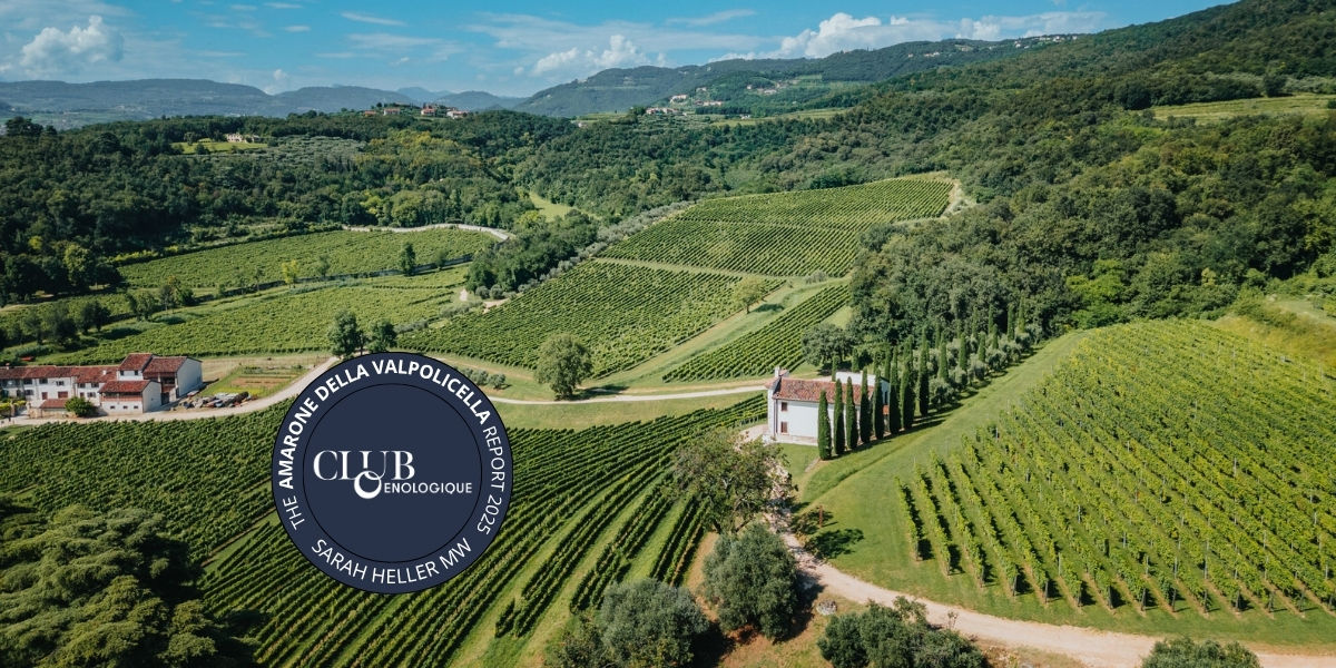 The Amarone della Valpolicella Report 2025 lead image