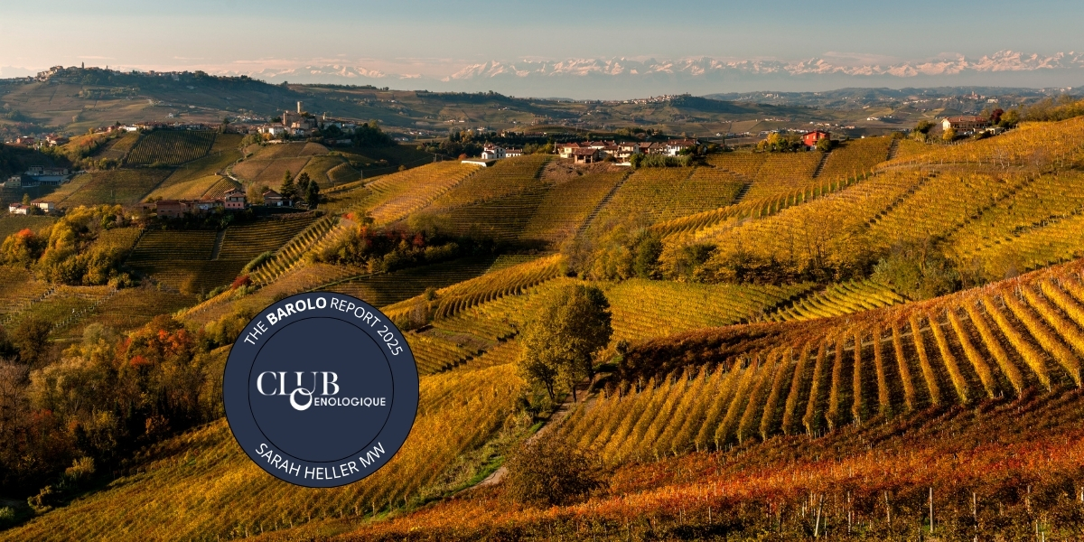 The Barolo Report 2025 cover image