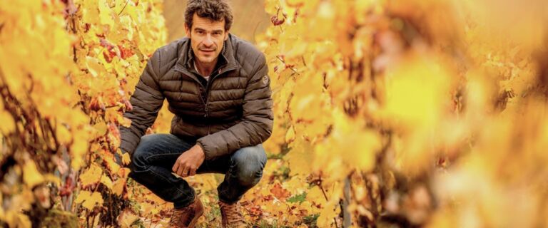 nicolas maillart lead