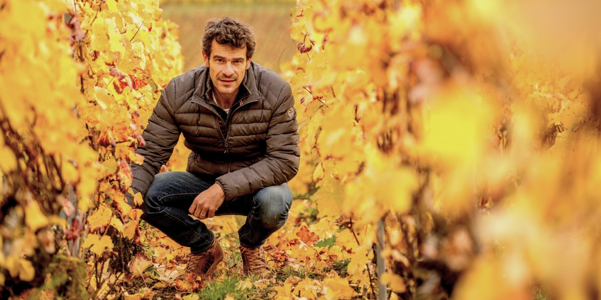 nicolas maillart lead