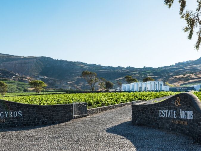 Estate Argyros