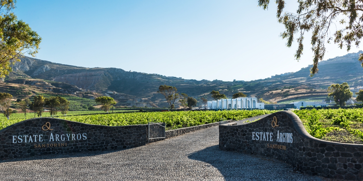 Estate Argyros