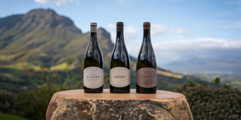 Capensis Wines