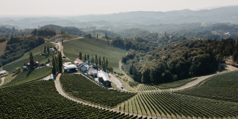 Weingut Tschermonegg