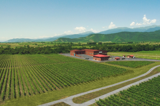 Tbilvino winery