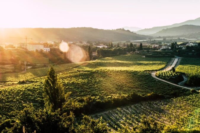 remirez de ganuza lead