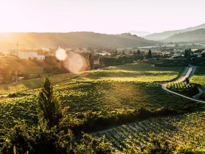 remirez de ganuza lead