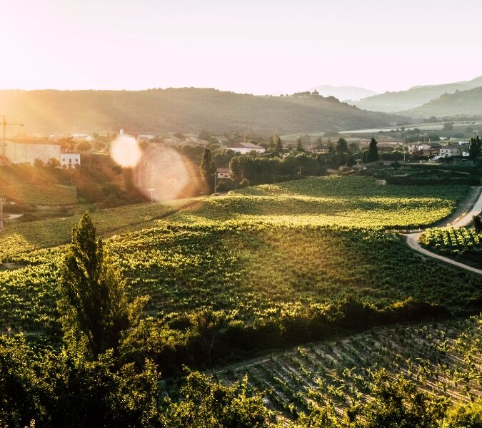 remirez de ganuza lead