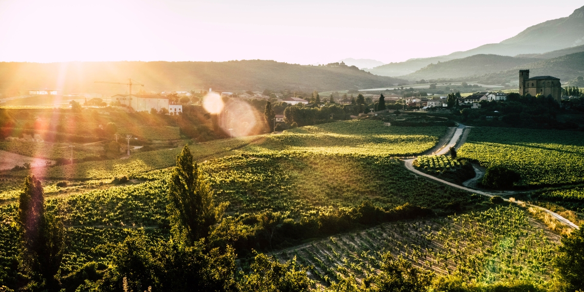 remirez de ganuza lead