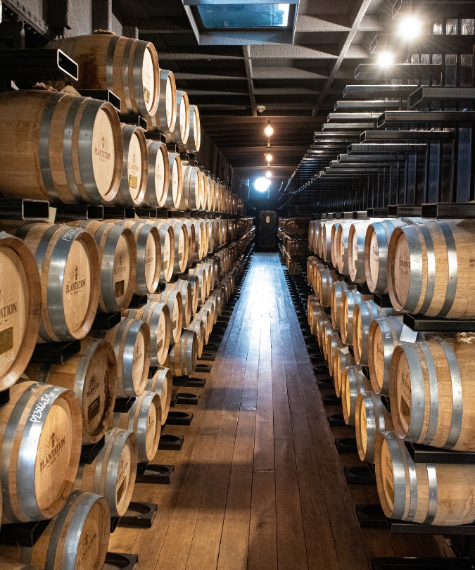 Barrels inside Barge 166 on the Seine in Paris