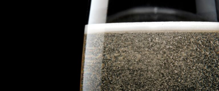 Best Champagnes for Christmas lead