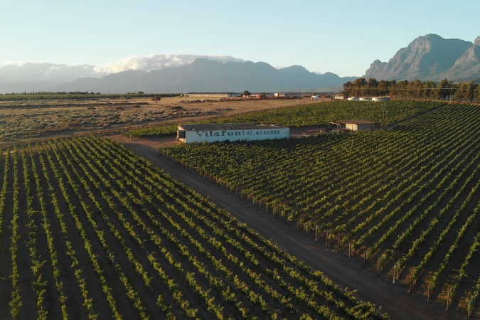 Vilafonté vineyards