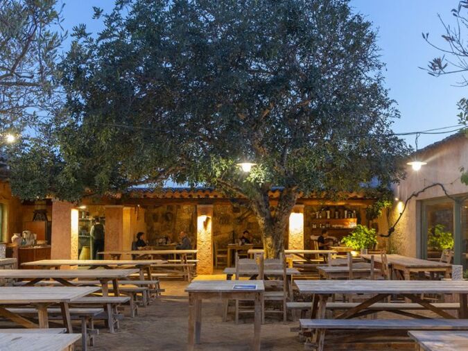 Best restaurants Sardinia cover image