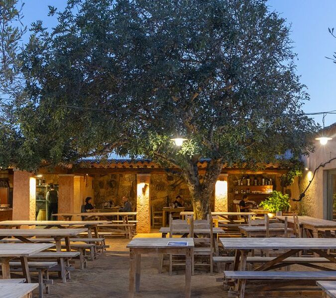 Best restaurants Sardinia cover image