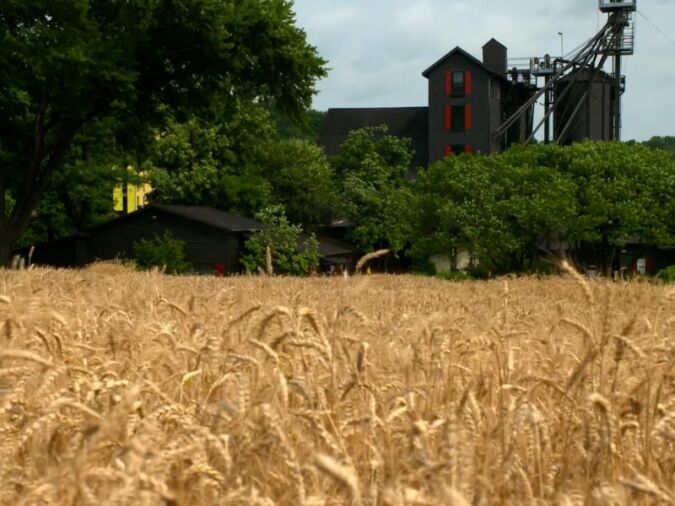 Maker's Mark's star hill farm