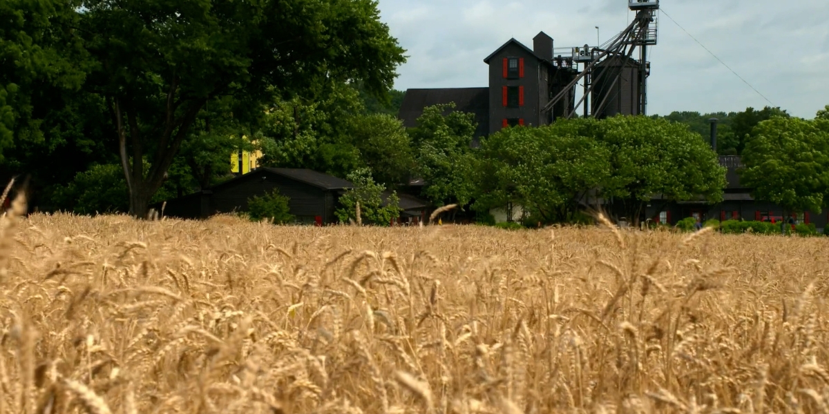 Maker's Mark's star hill farm