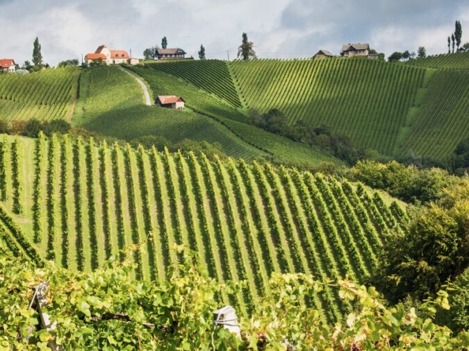 Austrian region of Styria wine