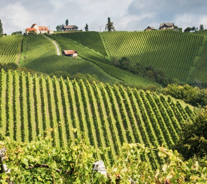 Austrian region of Styria wine