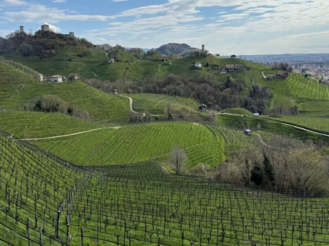 Drinking Hour Conegliano Valdobbiadene Prosecco Superiore