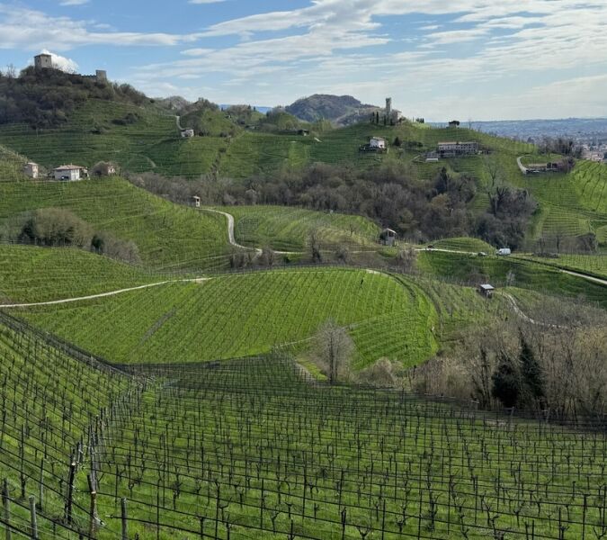 Drinking Hour Conegliano Valdobbiadene Prosecco Superiore