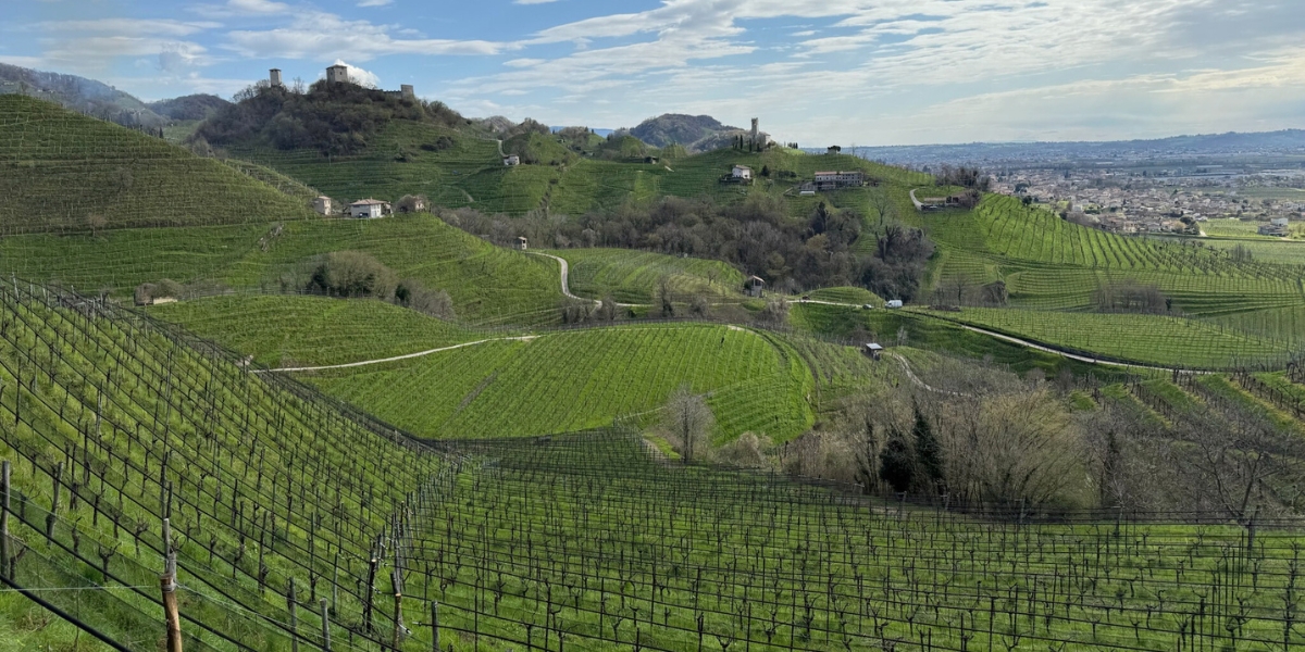 Drinking Hour Conegliano Valdobbiadene Prosecco Superiore