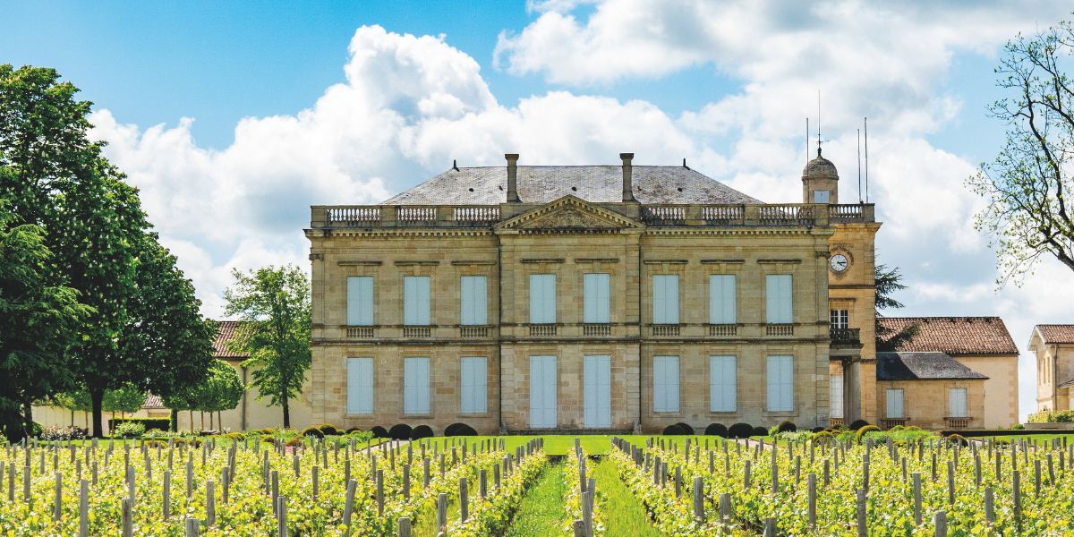chateau gauud-larose and vineyard in saint julien bordeaux