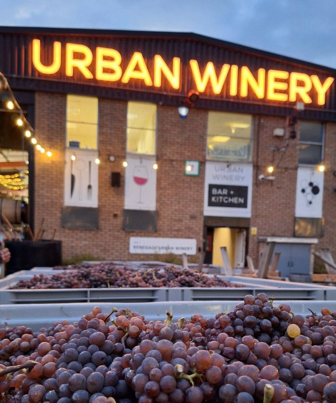 urban winery sign and grapes outside Renegade winery
