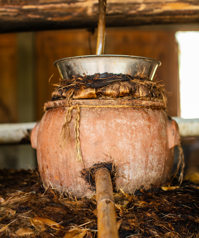 Distillation pots lie half buried in spent agave at Los Siete Misterios