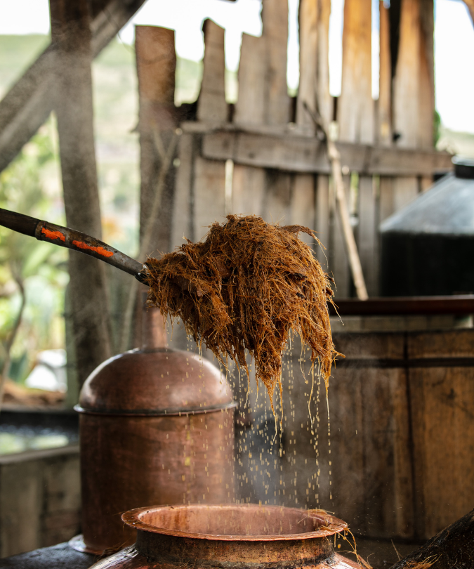 Ancestral mezcal production at Los Siete Misterios