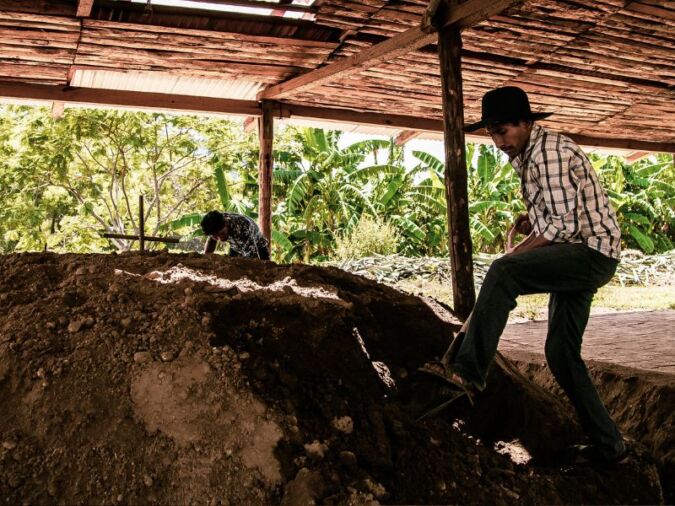 man cooking mezcal underground in oaxaca