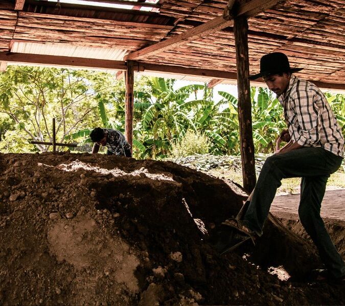 man cooking mezcal underground in oaxaca