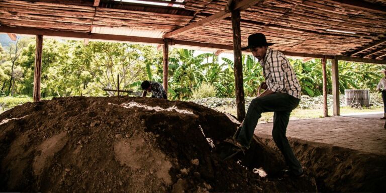 man cooking mezcal underground in oaxaca