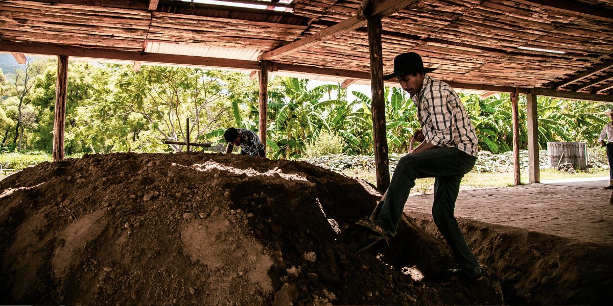 man cooking mezcal underground in oaxaca