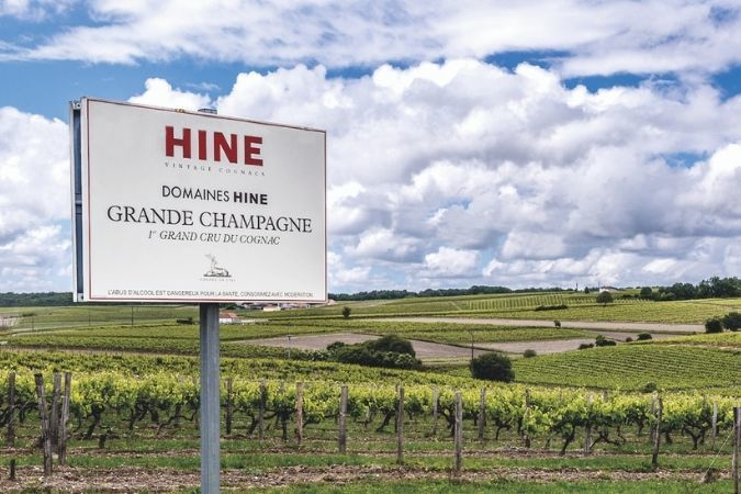 Hine vineyards Cognac