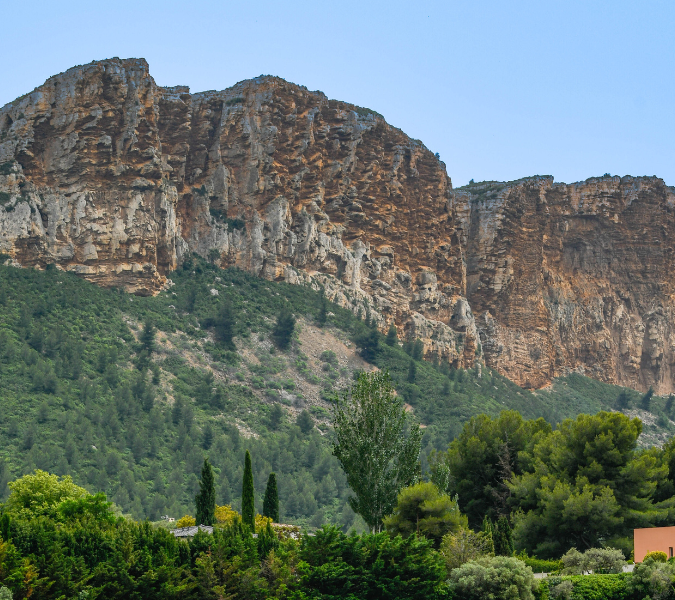 France, Cassis, Vineyard Domaine du Bagnol, AOC Cassis stock photo