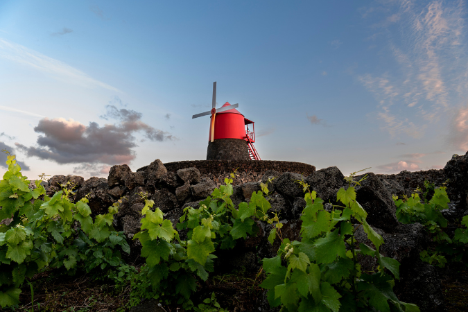 Azores Pico windmill