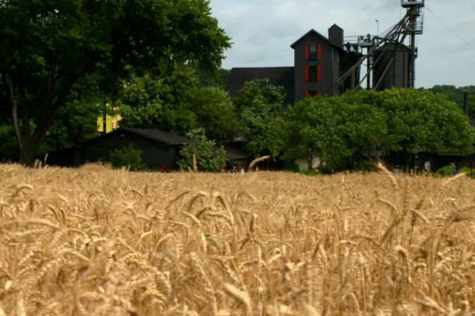 makers mark star hill farm distillery through fields of corn