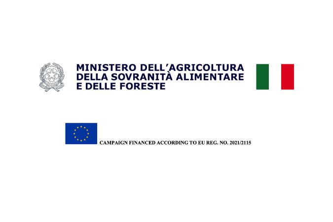 ocm logo masi