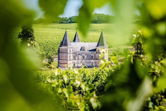 Cognac Frapin chateau and surrounding estate vineyard
