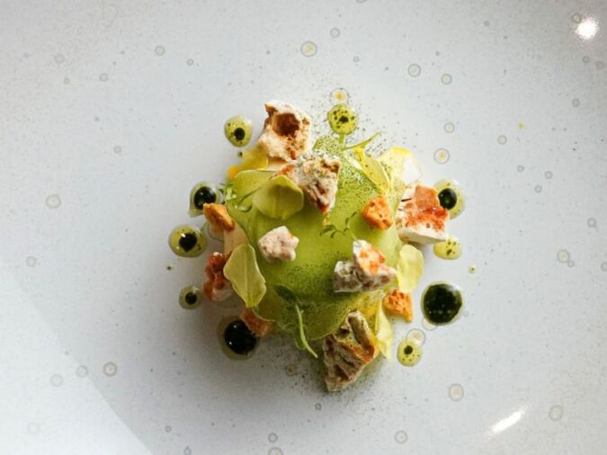 an overhead view of a dish at reflets d'obione in the languedoc