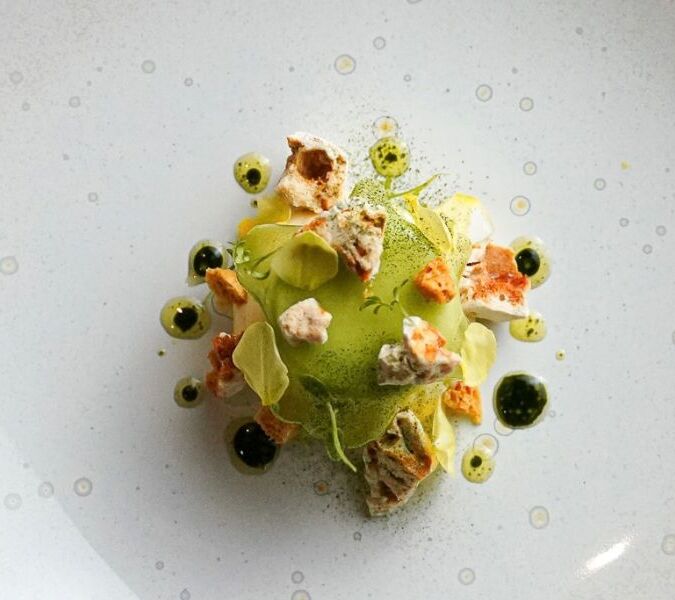 an overhead view of a dish at reflets d'obione in the languedoc